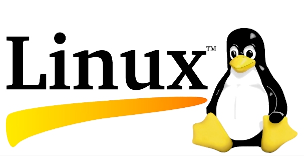 Полный гид по современному администрированию серверов: Linux и 1С